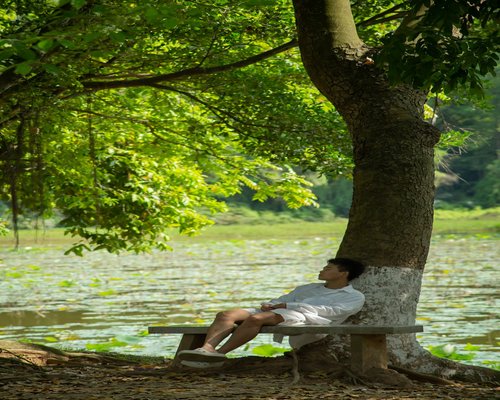 person relaxing in peaceful natural environment